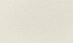 Anillustration Ansichtkaart Muis op/met klavertje vier