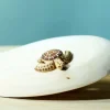 bumbu toys Baby Schildpad Bruin