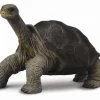 Collecta Galapagosreuzenschildpad 88619