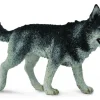 Collecta Siberische Husky 88707