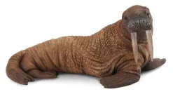 Collecta Walrus 88569