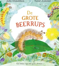 Lemniscaat De grote Beerrups