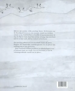 Lemniscaat De ijsbeer