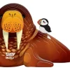 Eugy 3D Bouwpakket Walrus