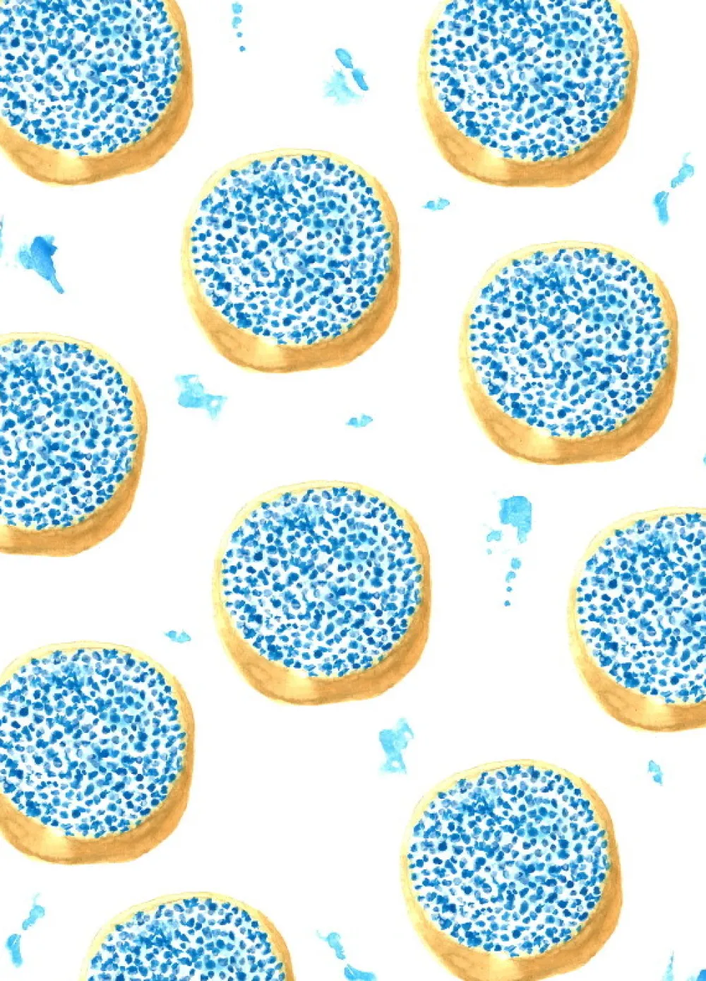 Fritsy Postkaart Beschuit met Muisjes Blauw