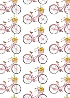 Fritsy Postkaart Fietsen