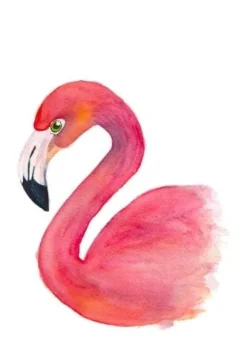 Fritsy Postkaart Flamingo
