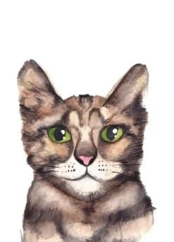 Fritsy Postkaart Kat