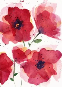 Fritsy Postkaart Klaproos Bloemen