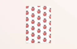 Fritsy Postkaart Lieveheersbeestjes