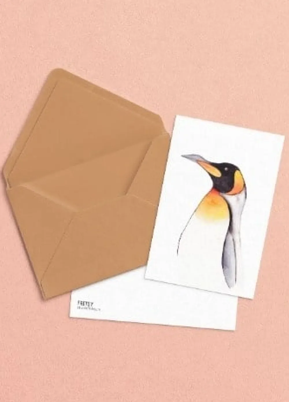 Fritsy Postkaart Pinguin