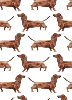 Fritsy Postkaart Teckels