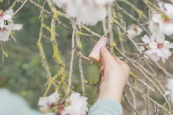 Grapat Sticks Houten Kabouters 18-delig 18-178