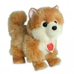 Hermann Teddy Knuffel Dwergkeeshond