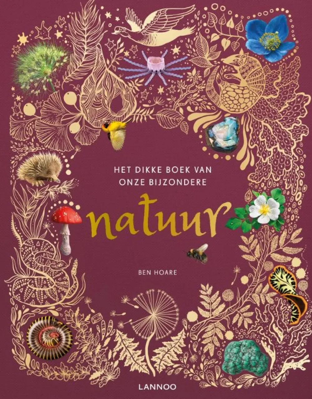 Terra Lannoo Het dikke boek van onze bijzondere natuur