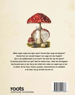 Fontaine Het dubbeldikke doe-boek