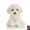 Living Nature Knuffel Hond Labradoodle Puppy