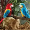 Living Nature Knuffel Vogel Ara