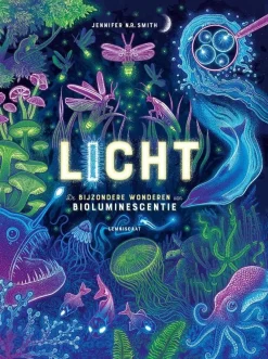 Lemniscaat Licht