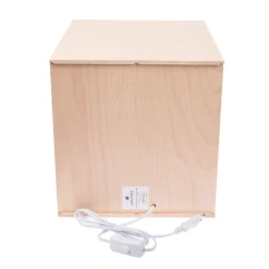 Limundo Kubuslamp Pinguïn Beuken Hout