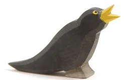 Ostheimer Merel 16801