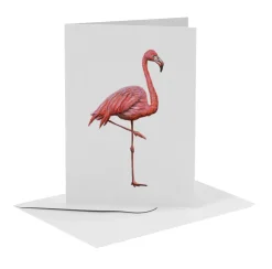 World of Mies MiesToGo Wenskaart Flamingo
