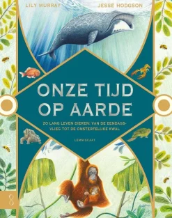 Lemniscaat Onze tijd op aarde
