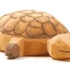 Ostheimer Schildpad 2083