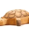Ostheimer Schildpad Klein 2085