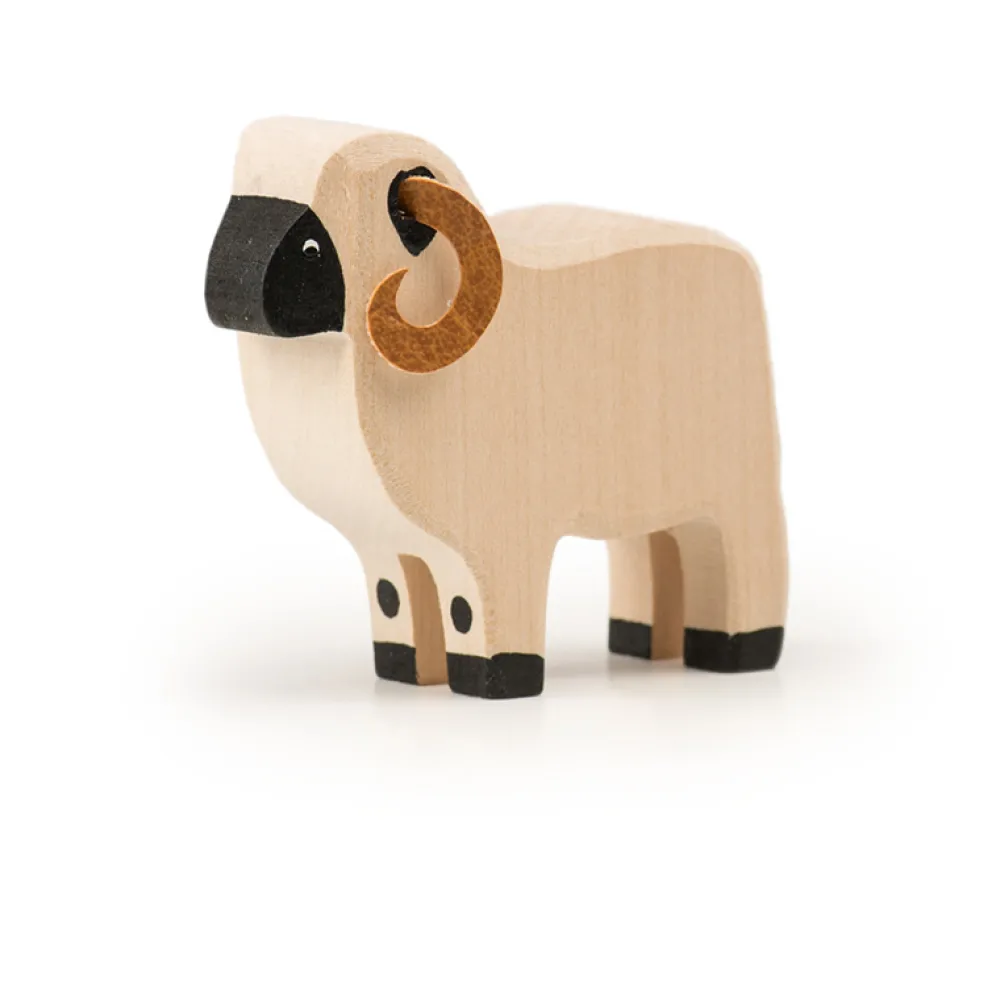 Trauffer Zwartneusschaap Groot