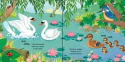 Uitgeverij Usborne Vogels geluidenboekje