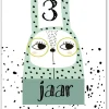 Pepermints Wenskaart 3 Jaar Kat