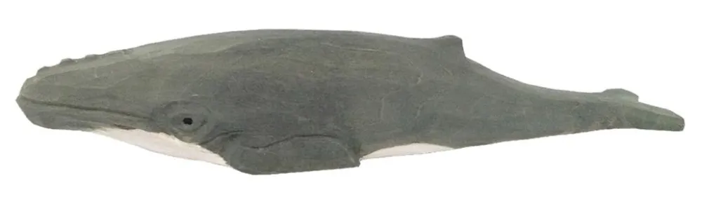 Wudimals Bultrugwalvis 40823