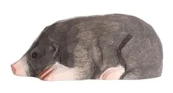Wudimals Mol 40703