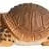 Wudimals Schildpad 40704