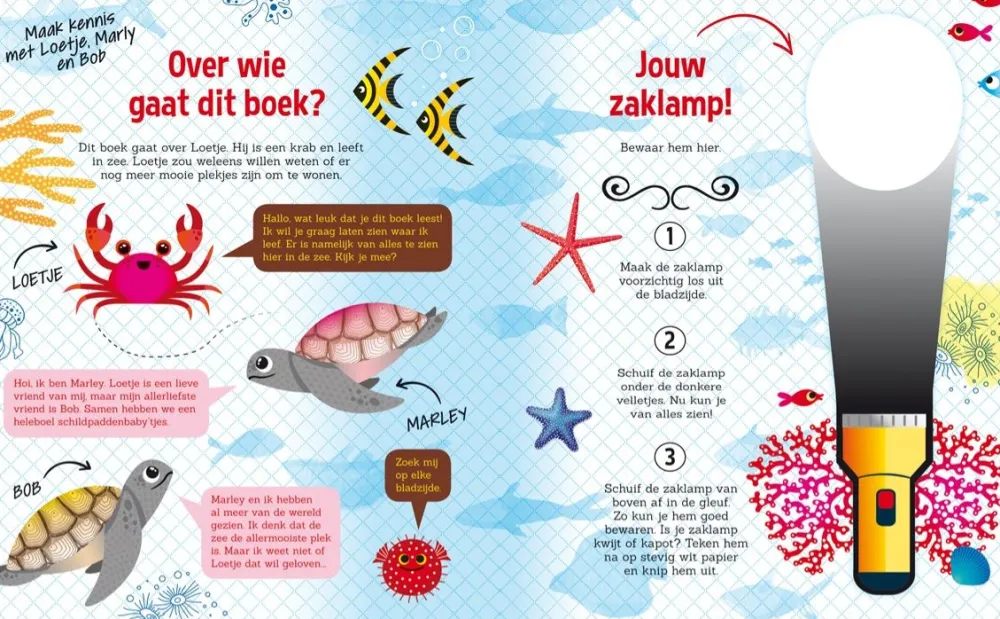 De Lantaarn Zaklampboek Speuren in het water